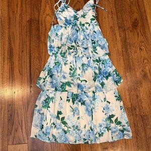 Floral Blue and White Dress